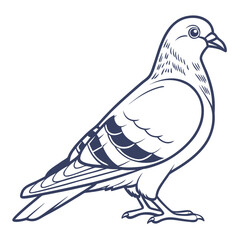 Simple clean vector illustration of a calm pigeon perched in profile view perfect for avian themes and nature designs