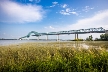 Obraz premium View of Pont Laviolette bridge over the Saint Lawrence River with aquatic plants in the foreground.