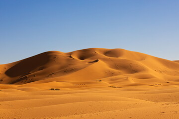 Morocco Desert sand dunes 