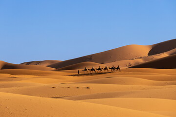 Morocco Desert sand dunes and camels © Vasiliki