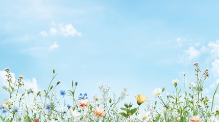 Fototapeta premium Serene meadow with pastel wildflowers under bright blue sky creates peaceful atmosphere