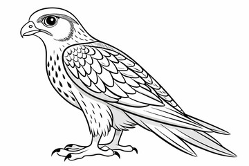 coloring page line art the kestrel black vector