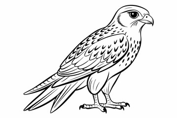 Fototapeta premium coloring page line art the kestrel black vector