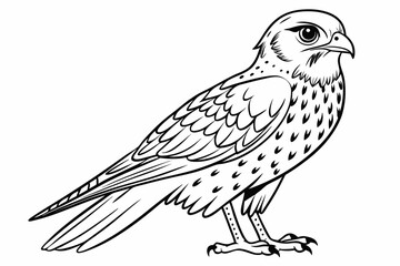 coloring page line art the kestrel black vector