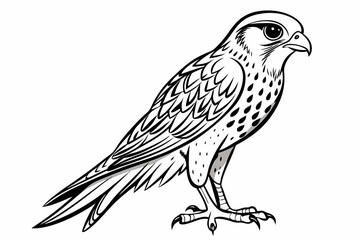 coloring page line art the kestrel black vector