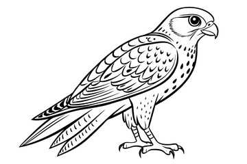 coloring page line art the kestrel black vector