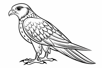 coloring page line art the kestrel black vector