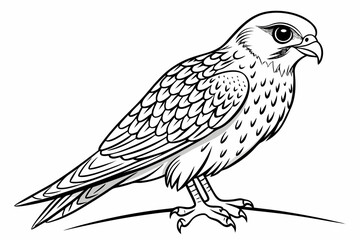 Fototapeta premium coloring page line art the kestrel black vector
