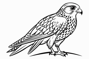 coloring page line art the kestrel black vector