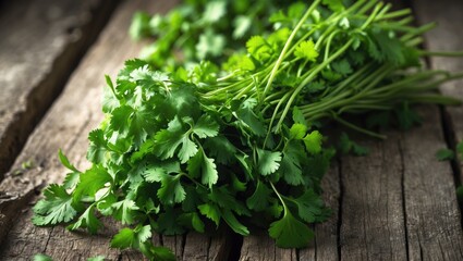 Fresh cilantro or coriander leaves on rustic wooden surface.