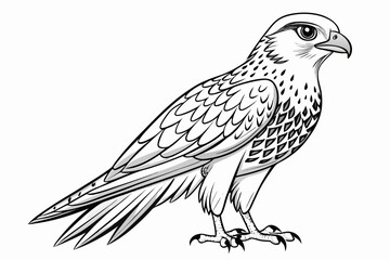 coloring page line art the kestrel black vector