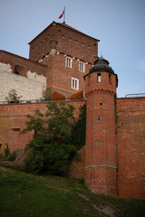 widok na Zamek w Krakowie , na mury