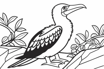 Naklejka premium coloring page line art the booby black vector