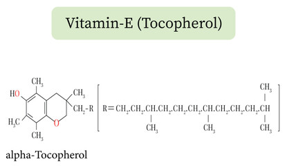 Vitamin E (Alpha-Tocopherol) Chemical Structure Formula and Structure. Vector illustration for medical articles and pharmaceutical design, showing a detailed representation of chemical bonds.