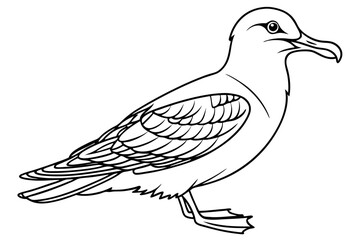 Obraz premium coloring page line art the shear water black vector