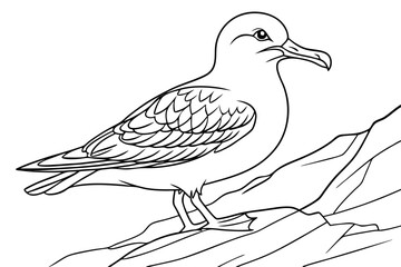 coloring page line art the shear water black vector