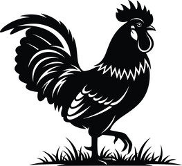 Elegant vector silhouette of rooster standing on grass, detailed comb, tail feathers, sharp beak, and stylized poultry posture