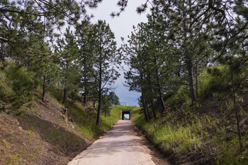 Fototapeta premium Tunnel on the George S. Mickelson Trail, South Dakota