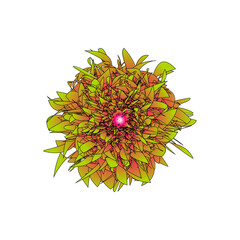 Abstract Radiant Floral Burst with Bold Lines and Bright Center