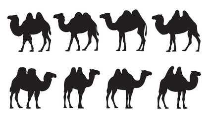 Eight Black Camel Silhouettes On White Background dromedary Bactrian camel