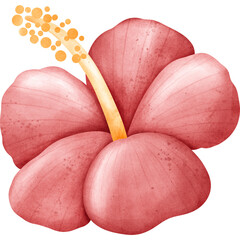 Hand-painted style illustration of a pink hibiscus flower with soft watercolor texture. Perfect for tropical-themed designs, summer invitations, floral patterns, and botanical clipart.
