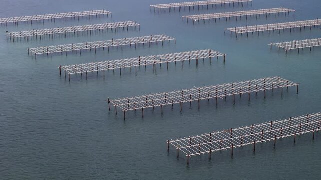 Aerial view of oyster farming facility at sea, showing metal frames and organized rows used for shellfish cultivation.