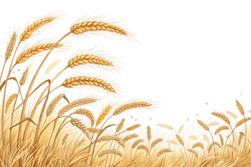 Golden wheat ears swaying gently, a symbol of harvest and abundance, isolated on transparent background