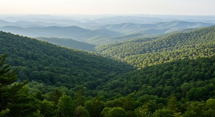 Obraz premium Photo of lush green mountains covered with dense forest under a bright sky