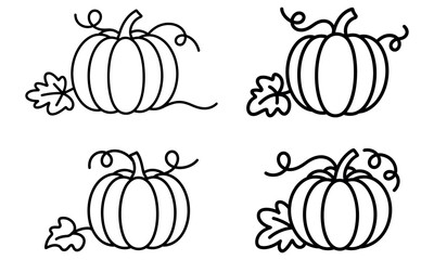 Colorful spring flowers collection including tulips hyacinths and daffodils in bloom
