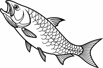 coloring page line art the tarpon fish black vector