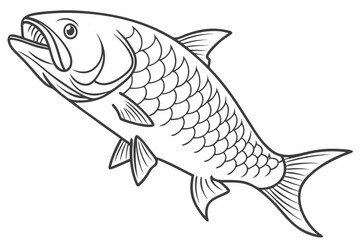 coloring page line art the tarpon fish black vector