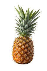 Fototapeta premium Fresh Whole Pineapple with Green Leaves