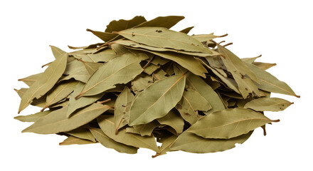 Isolated Bay Leaves