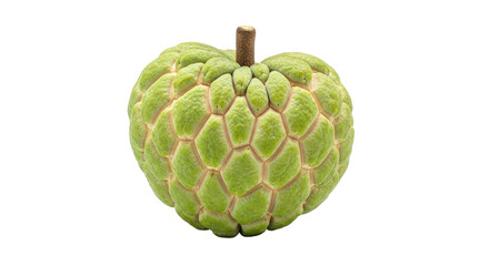 Isolated Sugar Apple