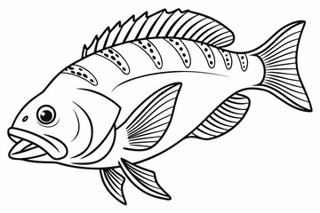 coloring page line art the drum fish black vector