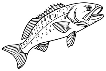 coloring page line art the drum fish black vector