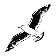 Black headed gull flying in silhouette vector illustration on white background