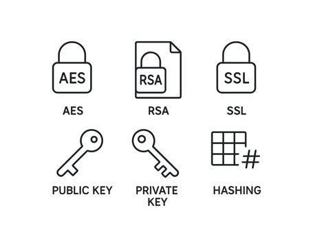 simple outline stroke icon items monoline icons style isolated on white background data encryption (methods): AES RSA SSL public key private key hashing