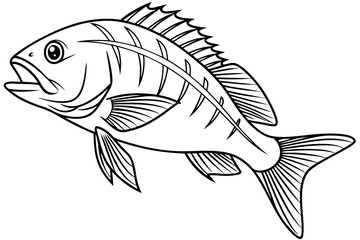 coloring page line art the snapper fish black vector