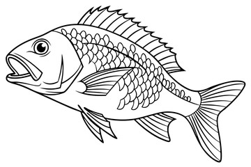 coloring page line art the snapper fish black vector