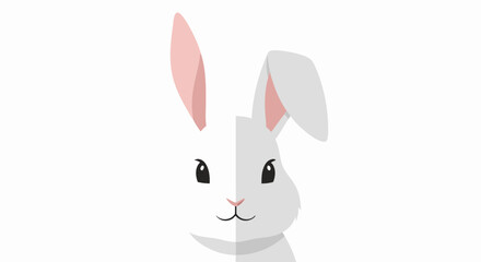 Obraz premium Whimsical Half and Half Rabbit Illustration with Contrasting Colors and Minimalist Design