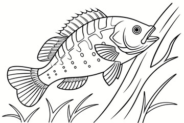 coloring page line art the crappie black vector