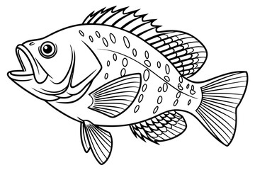 coloring page line art the crappie black vector