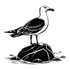 Seagull bird vector illustration on white background with wings and beak isolated art design