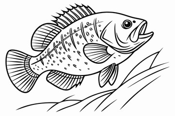 coloring page line art the crappie black vector