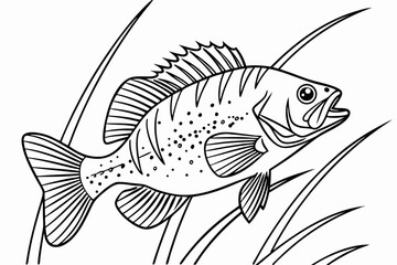coloring page line art the crappie black vector