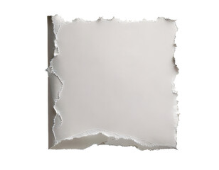 Obraz premium Torn light gray paper blank background