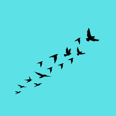 A vector set of flying bird silhouettes on a white background, capturing grace and freedom—perfect for tattoos and nature art.