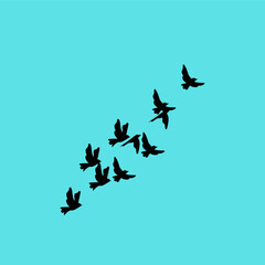 A vector set of bird silhouettes in flight, capturing grace and freedom—perfect for tattoos or nature-themed designs.