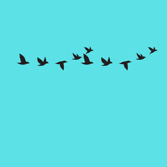 A clean vector set of flying bird silhouettes, capturing freedom and grace—perfect for tattoos and nature art.